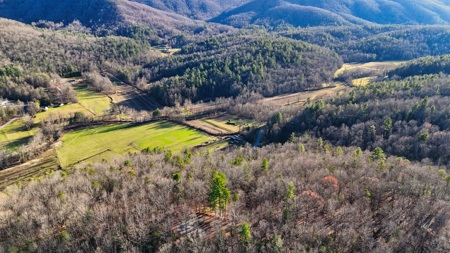 Huge Lot with Long Range Views - Henderson County NC - image 2
