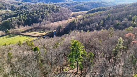 Huge Lot with Long Range Views - Henderson County NC - image 21