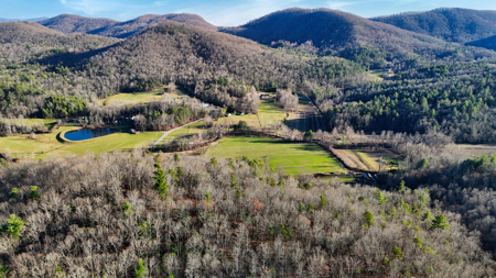 Huge Lot with Long Range Views - Henderson County NC - image 7
