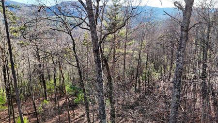 Huge Lot with Long Range Views - Henderson County NC - image 31