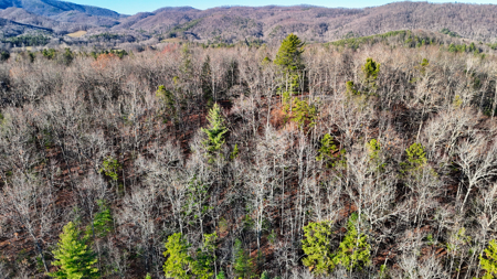 Huge Lot with Long Range Views - Henderson County NC - image 27