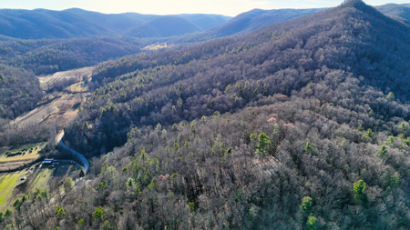 Huge Lot with Long Range Views - Henderson County NC - image 3