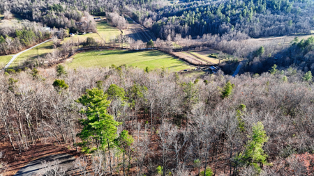 Huge Lot with Long Range Views - Henderson County NC - image 22