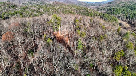 Huge Lot with Long Range Views - Henderson County NC - image 25