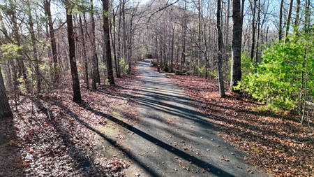 Huge Lot with Long Range Views - Henderson County NC - image 39