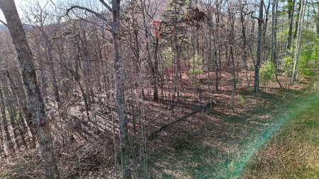 Huge Lot with Long Range Views - Henderson County NC - image 38