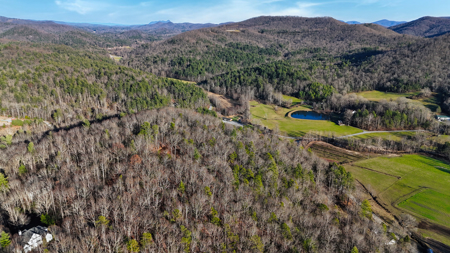 Huge Lot with Long Range Views - Henderson County NC - image 9