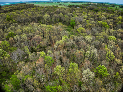 Land For Sale Stockton Lake Missouri - image 39