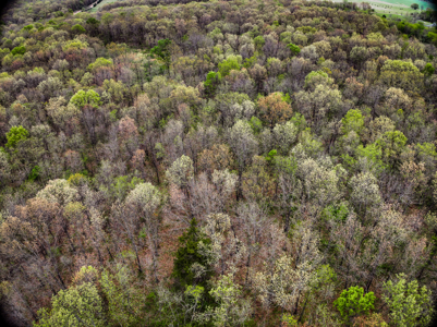 Land for Sale Stockton Lake Missouri - image 29