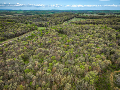 Land for Sale Stockton Lake Missouri - image 24