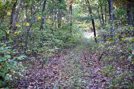 Land for Sale Stockton Lake Missouri - image 10