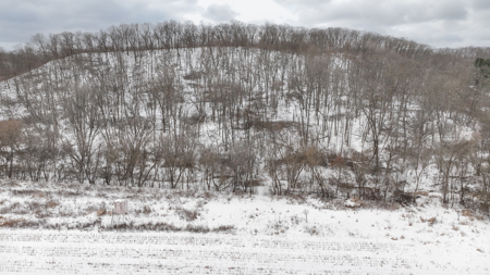 Hunting Land for Sale in Richland County, Wisconsin - image 8
