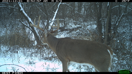 Hunting Land for Sale in Richland County, Wisconsin - image 30