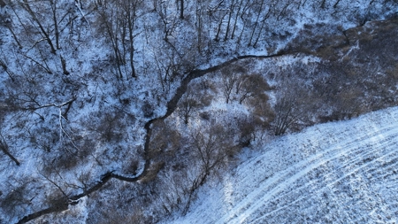 Hunting Land for Sale in Richland County, Wisconsin - image 36