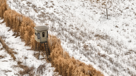 Hunting Land for Sale in Richland County, Wisconsin - image 21