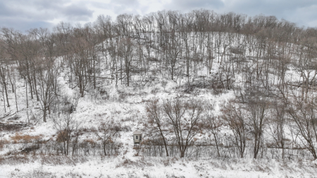 Hunting Land for Sale in Richland County, Wisconsin - image 7