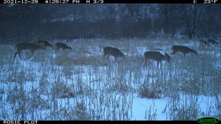 Hunting Land for Sale in Richland County, Wisconsin - image 28