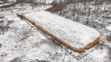 Hunting Land for Sale in Richland County, Wisconsin - image 20