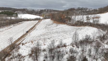 Hunting Land for Sale in Richland County, Wisconsin - image 6
