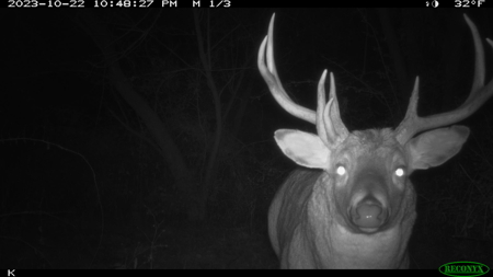 Hunting Land for Sale in Richland County, Wisconsin - image 1