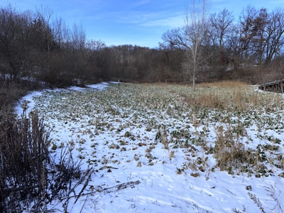 Hunting Land for Sale in Richland County, Wisconsin - image 18
