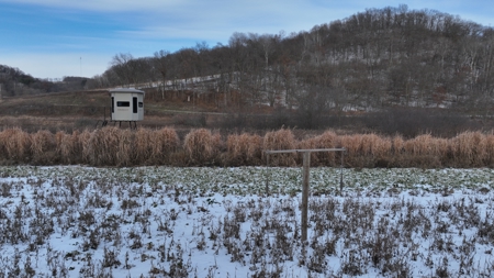 Hunting Land for Sale in Richland County, Wisconsin - image 9