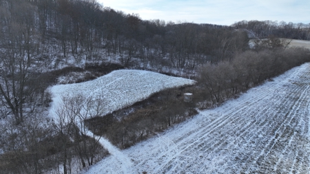 Hunting Land for Sale in Richland County, Wisconsin - image 12