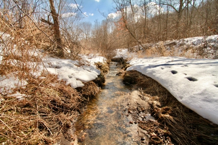 Hunting Land for Sale in Richland County, Wisconsin - image 35