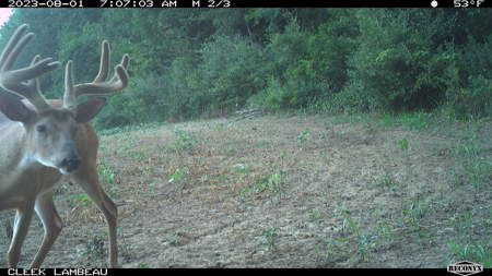 Hunting Land for Sale in Richland County, Wisconsin - image 31
