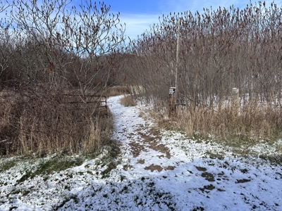 Hunting Land for Sale in Richland County, Wisconsin - image 13