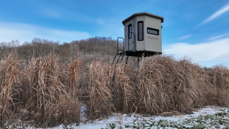Hunting Land for Sale in Richland County, Wisconsin - image 10