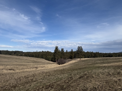 Land for Sale in Idaho County, ID at Hatke Place Ranch - image 5