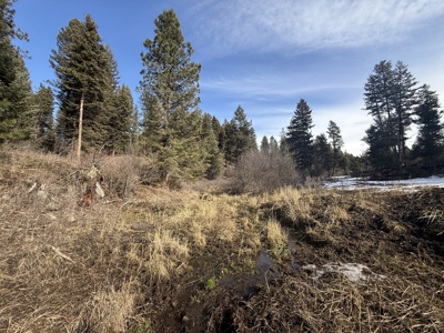 Land for Sale in Idaho County, ID at Hatke Place Ranch - image 27