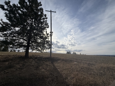 Land for Sale in Idaho County, ID at Hatke Place Ranch - image 15