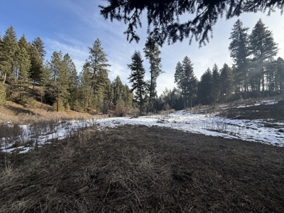 Land for Sale in Idaho County, ID at Hatke Place Ranch - image 30