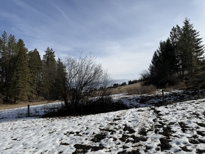 Land for Sale in Idaho County, ID at Hatke Place Ranch - image 32