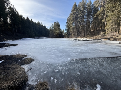 Land for Sale in Idaho County, ID at Hatke Place Ranch - image 28