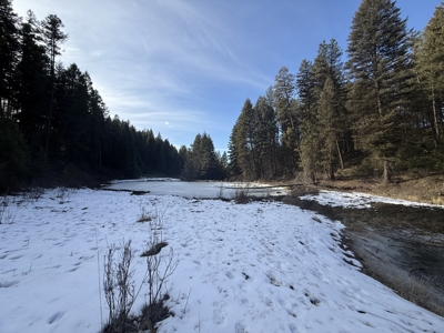 Land for Sale in Idaho County, ID at Hatke Place Ranch - image 29