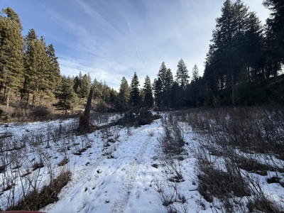 Land for Sale in Idaho County, ID at Hatke Place Ranch - image 31