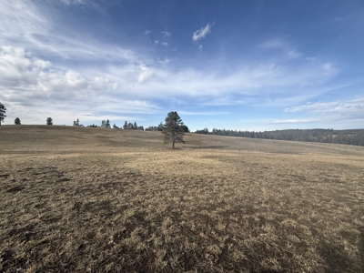 Land for Sale in Idaho County, ID at Hatke Place Ranch - image 2