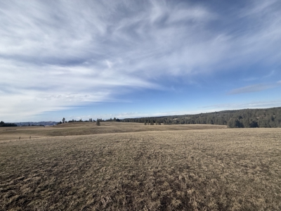 Land for Sale in Idaho County, ID at Hatke Place Ranch - image 18
