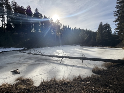 Land for Sale in Idaho County, ID at Hatke Place Ranch - image 24