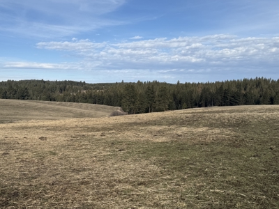 Land for Sale in Idaho County, ID at Hatke Place Ranch - image 3