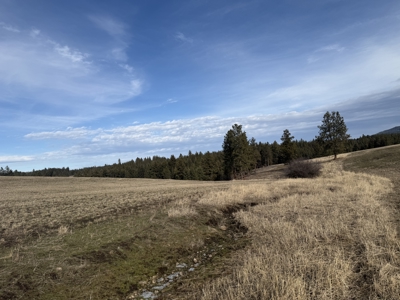 Land for Sale in Idaho County, ID at Hatke Place Ranch - image 6