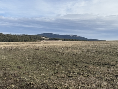 Land for Sale in Idaho County, ID at Hatke Place Ranch - image 4
