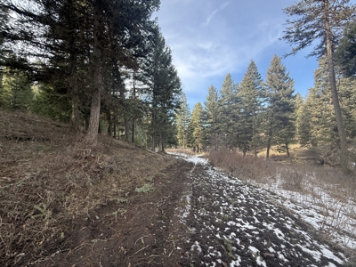 Land for Sale in Idaho County, ID at Hatke Place Ranch - image 21