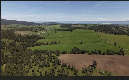 Land for Sale in Idaho County, ID at Hatke Place Ranch - image 38