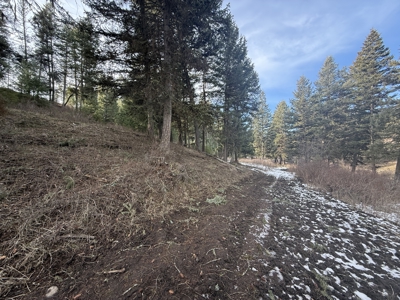 Land for Sale in Idaho County, ID at Hatke Place Ranch - image 22