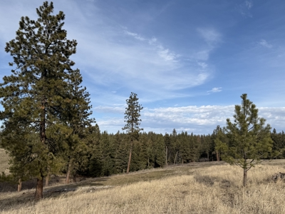 Land for Sale in Idaho County, ID at Hatke Place Ranch - image 8