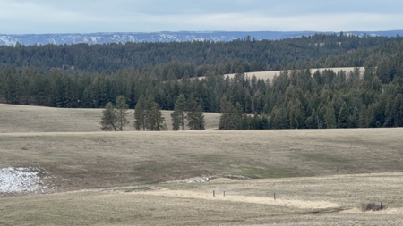 Land for Sale in Idaho County, ID at Hatke Place Ranch - image 37
